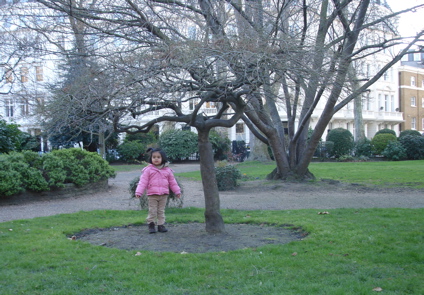 16 Feb tree in the square.jpg